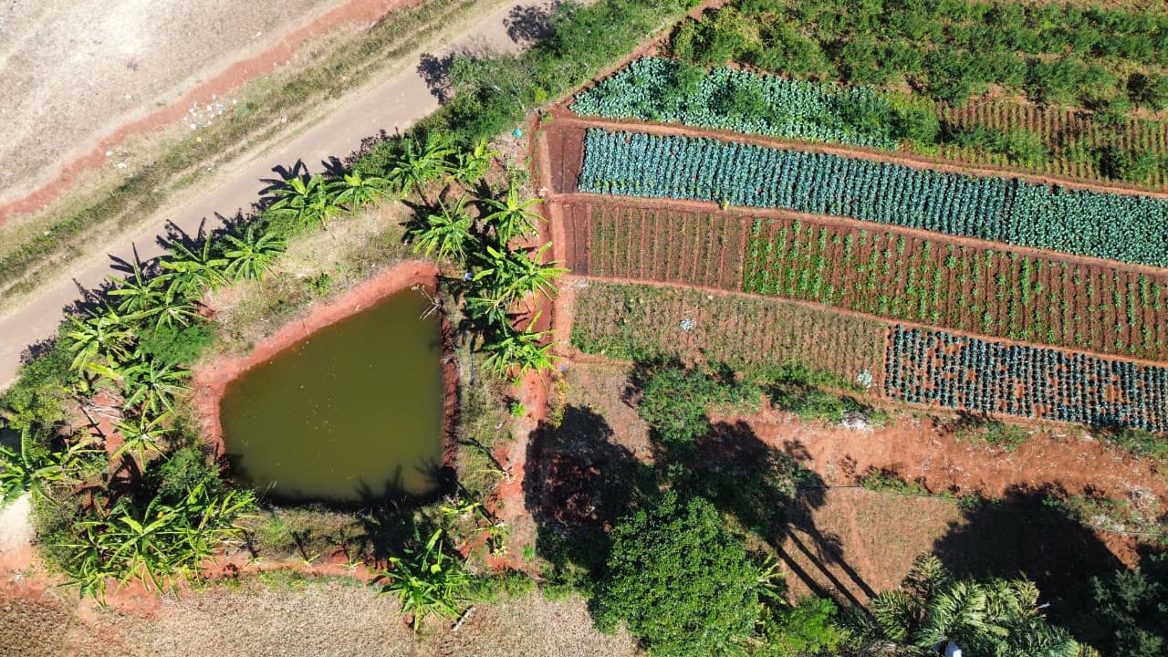 Transforming Farm Ponds into Eco Farm Ponds